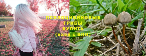 винт Горнозаводск