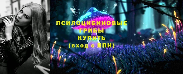 jwh Гусь-Хрустальный