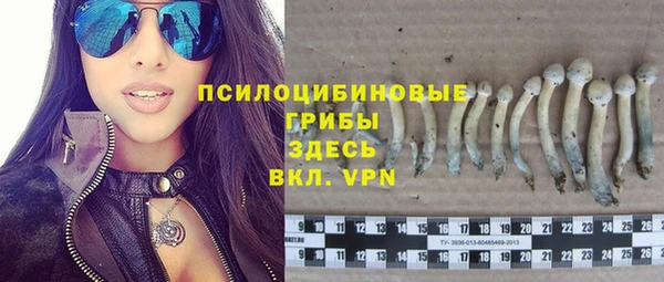 крисы Гусиноозёрск